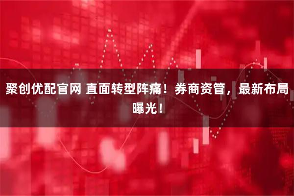 聚创优配官网 直面转型阵痛！券商资管，最新布局曝光！
